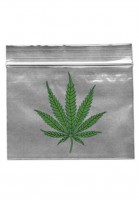 Zipper Bags, clear with green Leaf Zipper Bags, clear with green Leaf